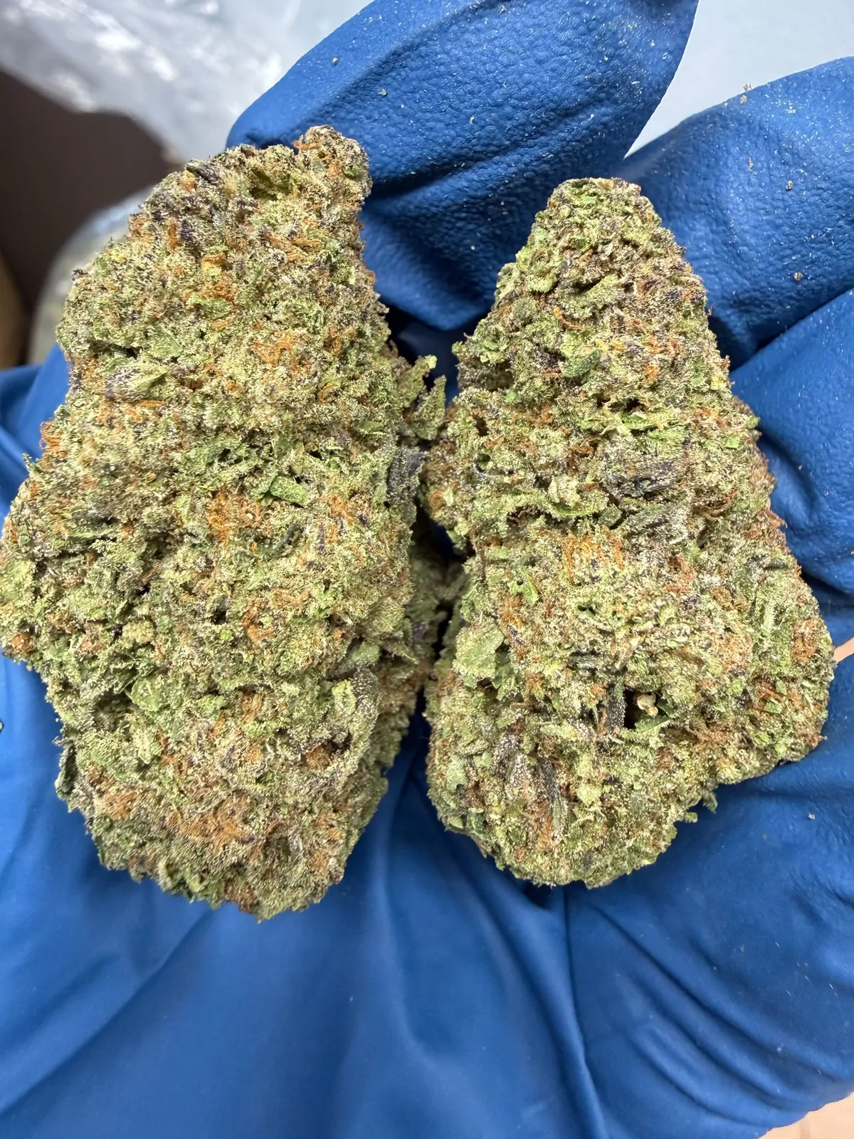 Pixie Pop Runtz Packaged Flower